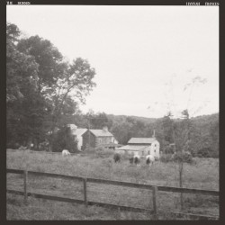 The Horses