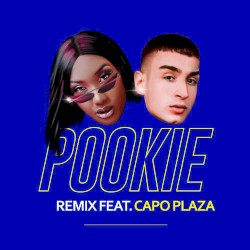 Pookie (Remix)