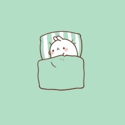 a day in my life