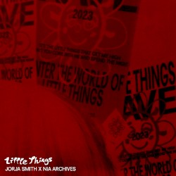 Little Things (Nia Archives remix)