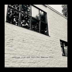 Live at the BPM Festival Mexico 2015