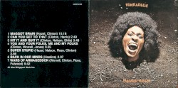 Maggot Brain