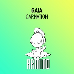 Carnation