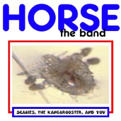 Scabies, the Kangarooster, and You