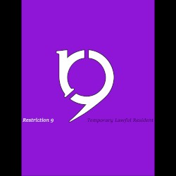 Temporary Lawful Resident (Blinky Blinky Computerband remix)