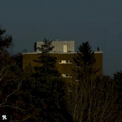 THE LAST HOUSEBENDER