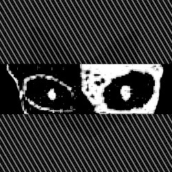 Etched Into Our Skulls