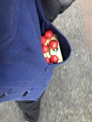 The Lawnmover Massacre