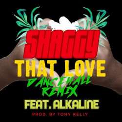 That Love (dancehall remix)