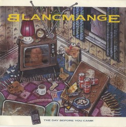 The Day Before You Came