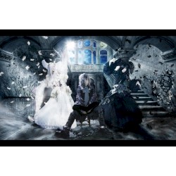 Seventh Sense / 屍の王者 / アンプサイ