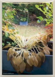 사랑으로 (through love)