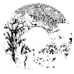 MMXX - 10: Untitled, 2020