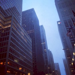 Endless Glass Canyons