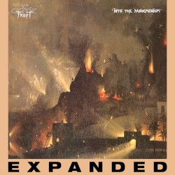 Into the Pandemonium (expanded)