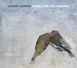 World on the Ground