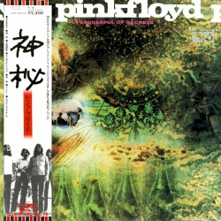 A Saucerful of Secrets