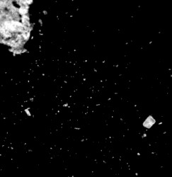 A Victory Over Suffering