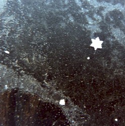 Midwinter's Halcyon Seas