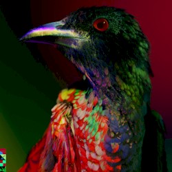 Say Nothing (Tchami remix)