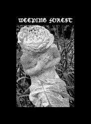 Demo II