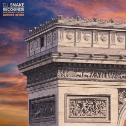 Recognize (Mercer remix)