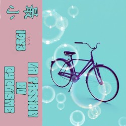 La passion du cyclisme