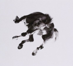 Dark Is the Way, Light Is a Place