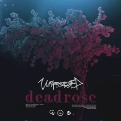 Deadrose