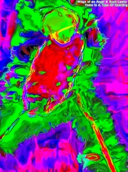 Fame Is a Type of Hoarding