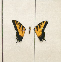 Brand New Eyes
