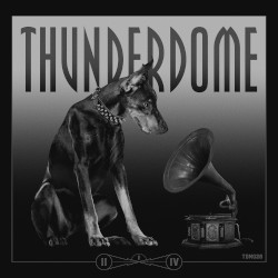 Thunderdome Vinyl Series II of IV