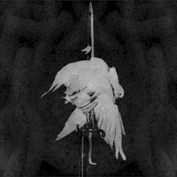 Dances & Marches for the Orphan Age