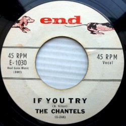 If You Try / Congratulations