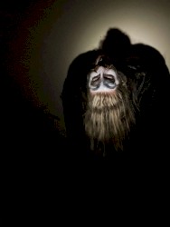 Yield the Frost of Estivation