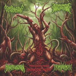 Impregnated Through Pathogenic Agony