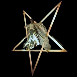 Vocal Suite from Kestrel