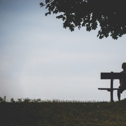 Under New Management