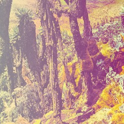 Assemblée, relâche, réjouissance, parade