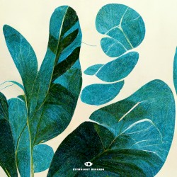 a bright point of view