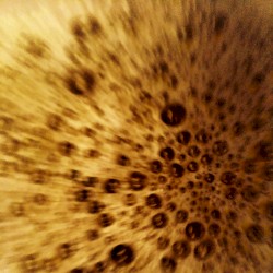 Soundtrack for This Insignificant Existence (Part Seven)