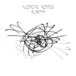 Elaenia