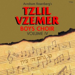 Ki Nicham Hashem Tzion 4