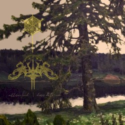 Collision / Void - Dioses de la noche