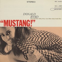 Mustang!