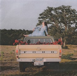 Lilacs
