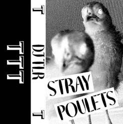 Stray Poulets