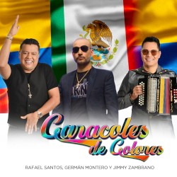 Caracoles de colores