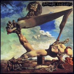 Songs for Insects