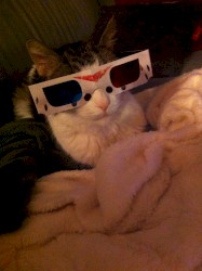 Convenience Store Stoned